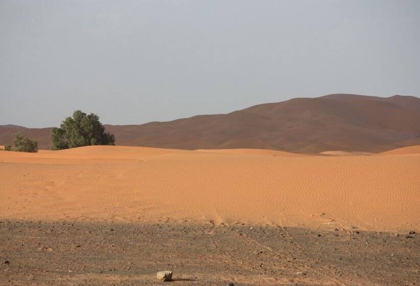 پانسیون Kasbah Du Berger
