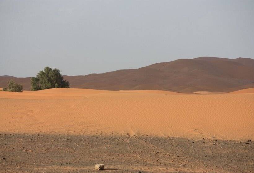 پانسیون Kasbah Le Berger