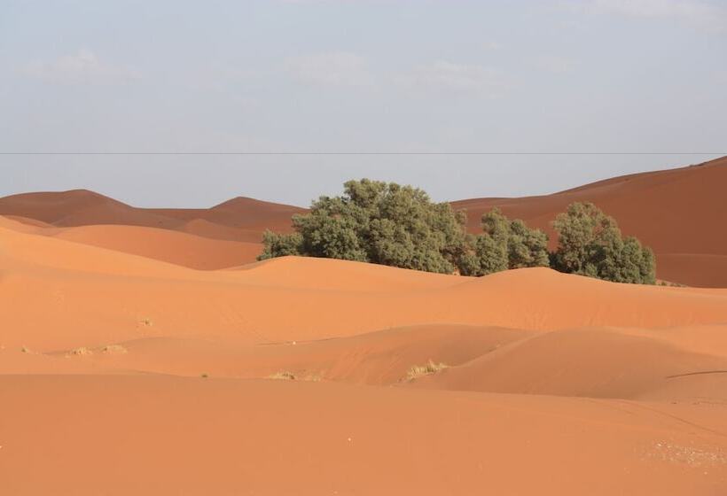پانسیون Kasbah Du Berger