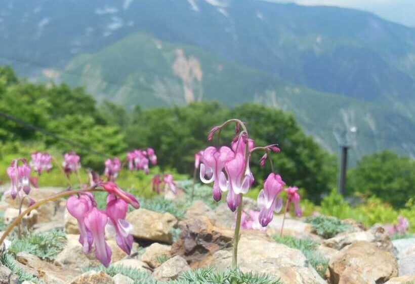 Pension Ciel