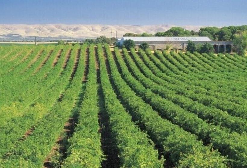 فندق صغير Mclaren Vale Backpackers