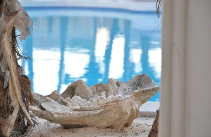 هتل The Villa Luxury Suites