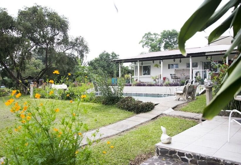 هتل Villa Margarita