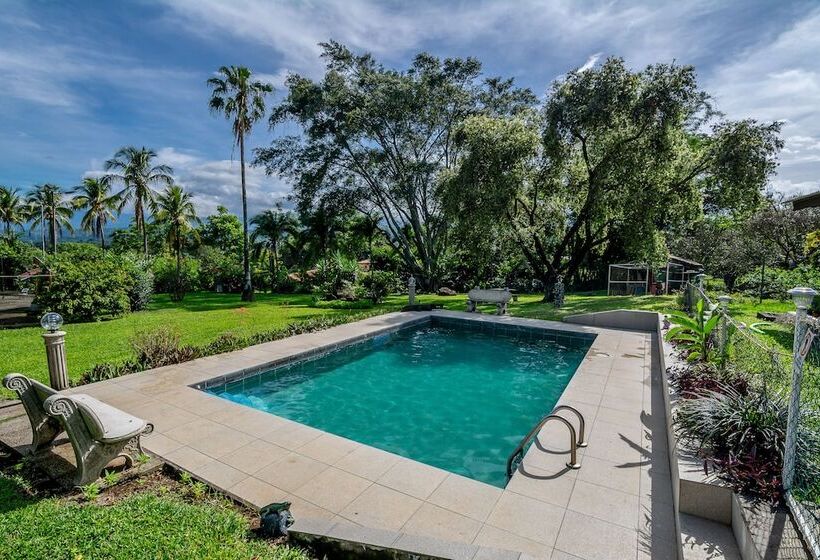 هتل Villa Margarita