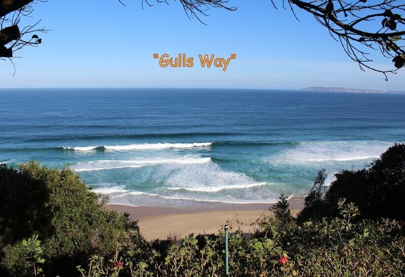 Gulls Way