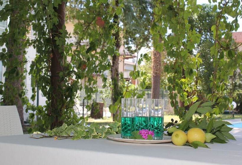 فندق فئة نجمة واحدة Summa Resort