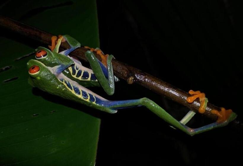 هتل Arenal Monara