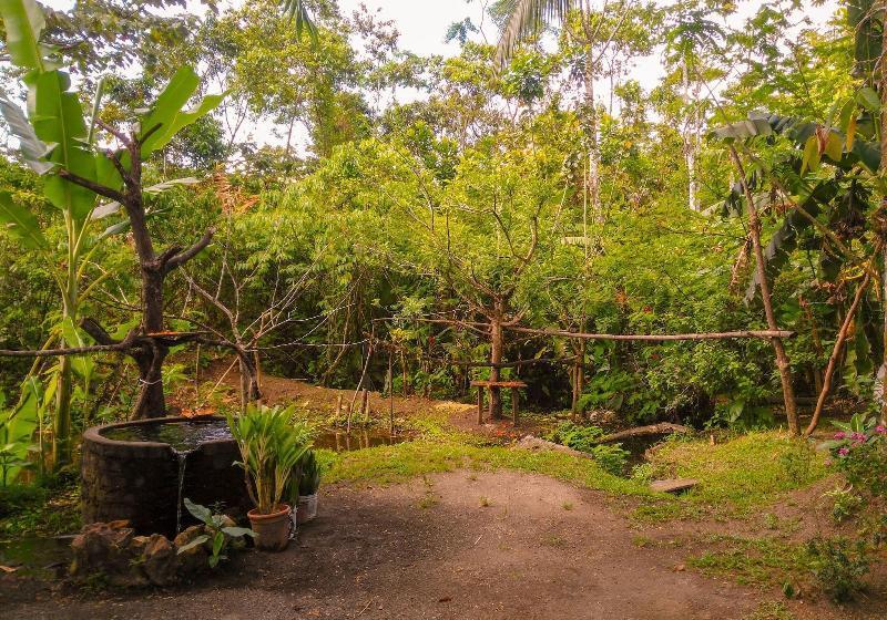 هتل Arenal Monara