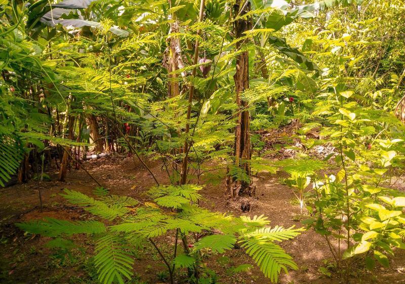 هتل Arenal Monara
