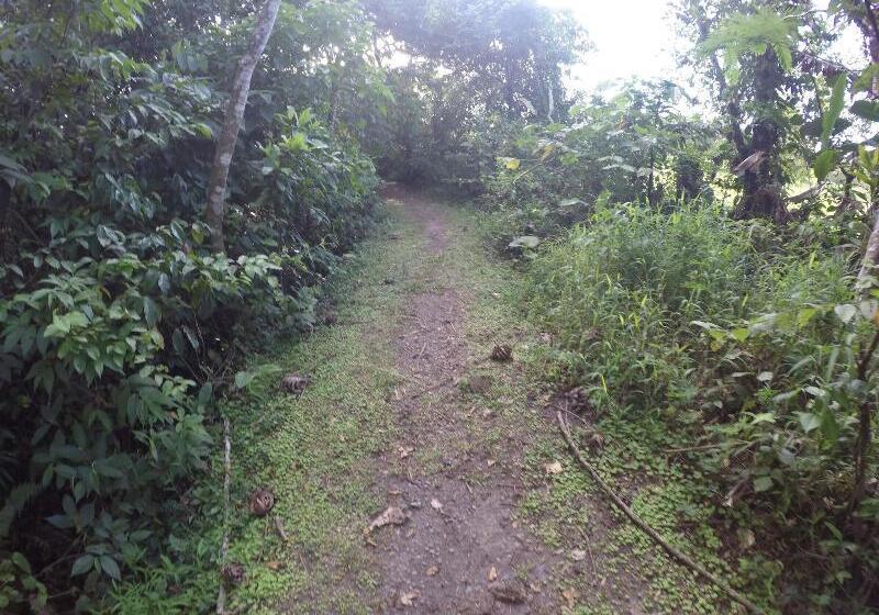 هتل Arenal Monara