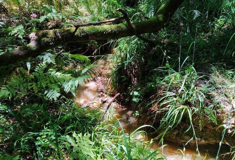 هتل Green Hills Forest Lodge