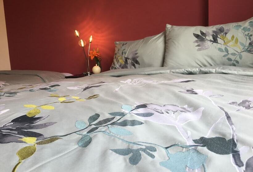 Comodo Y Seguro Homestay