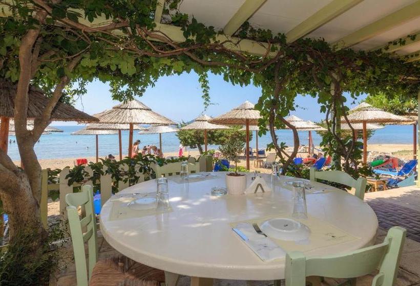 Tortuga Dafni Bay Villas Diver S Paradise By Elite