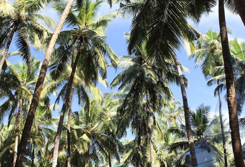 منتجع Palm Trees Ayurvedic Heritage
