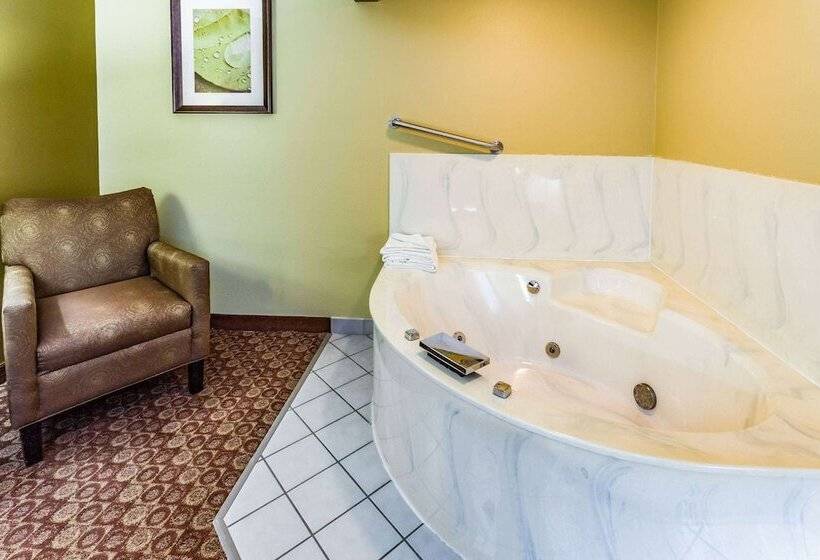 هتل Americinn By Wyndham Blue Earth