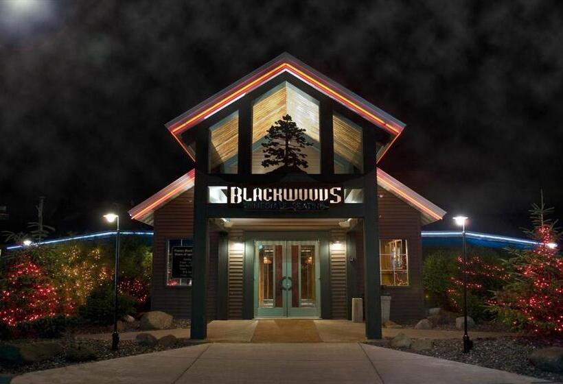 호텔 Americinn By Wyndham Duluth South Proctor Black Woods Event Ctr