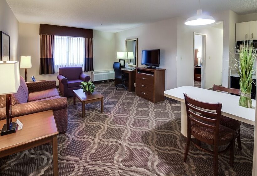 Hotel Ashmore Inn And Suites Lubbock