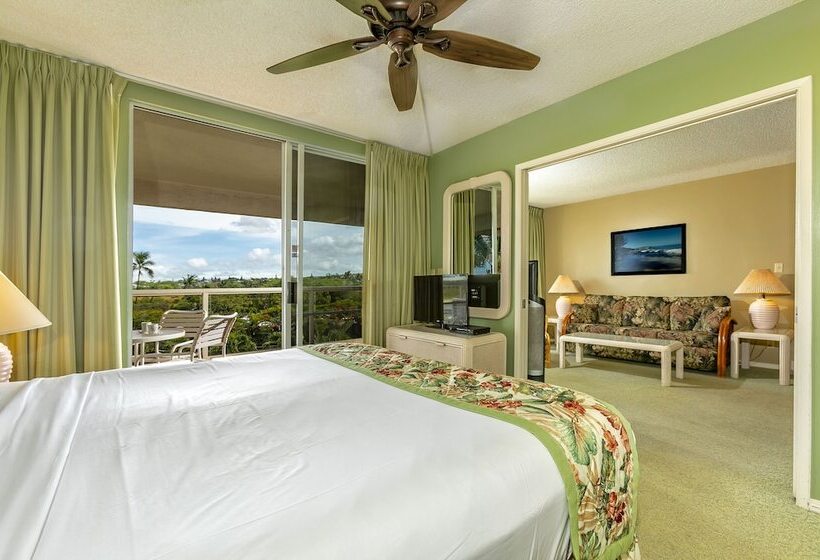 酒店 Aston At The Maui Banyan