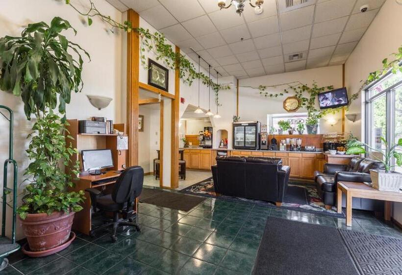 هتل Bay City Inn