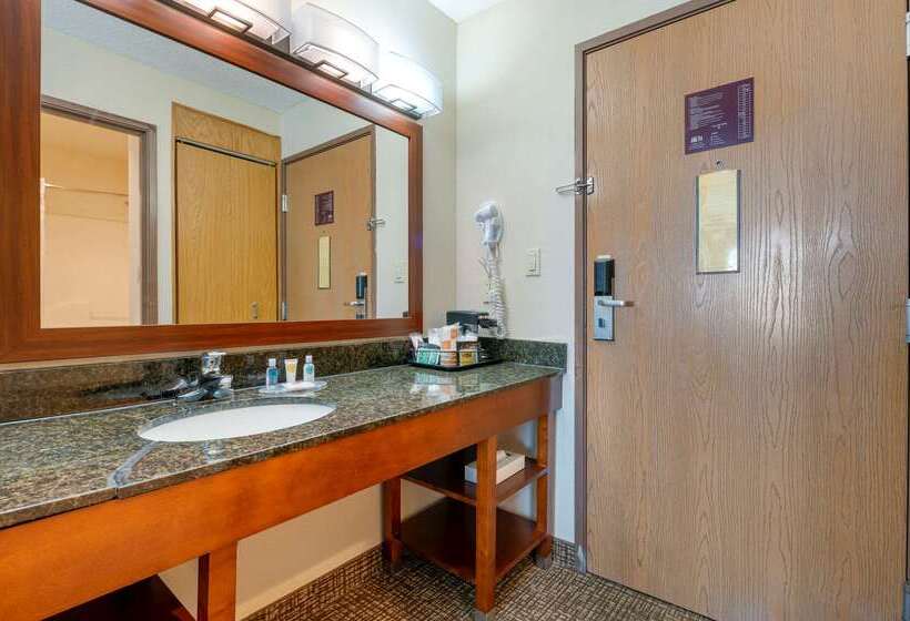فندق Comfort Inn Anderson South