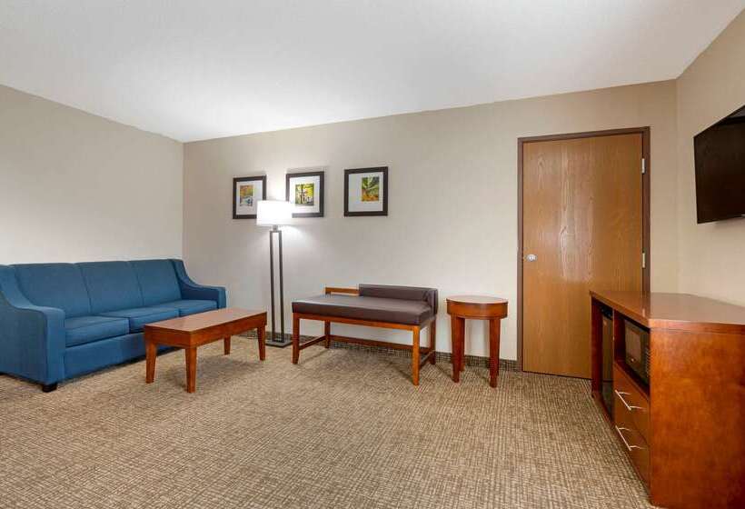 Hotel Comfort Inn Anderson South