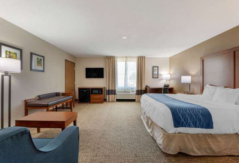فندق Comfort Inn Anderson South