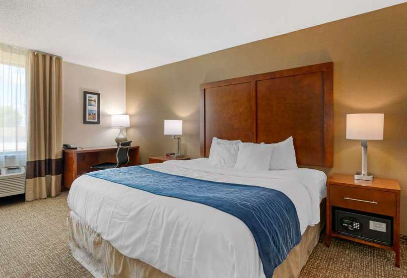 ホテル Comfort Inn Anderson South
