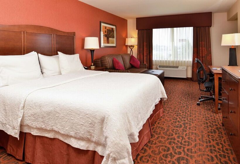 ホテル Hampton Inn Idaho Falls/airport