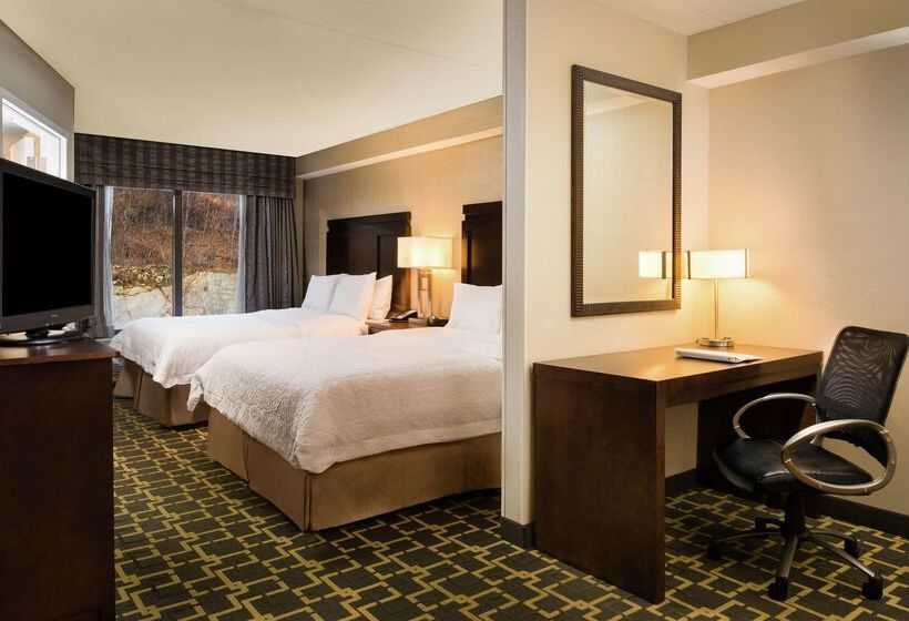 ホテル Hampton Inn By Hilton Shelton