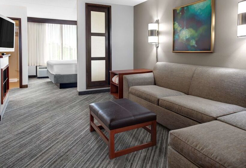 ホテル Hyatt Place Tampa Busch Gardens