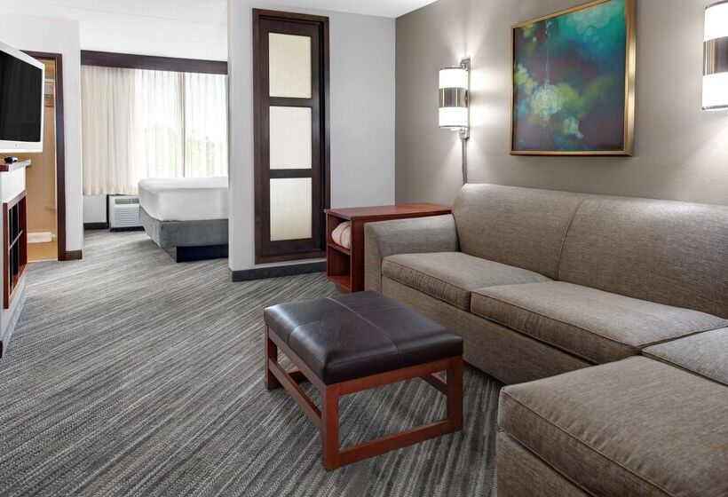 Hotel Hyatt Place Tampa Busch Gardens