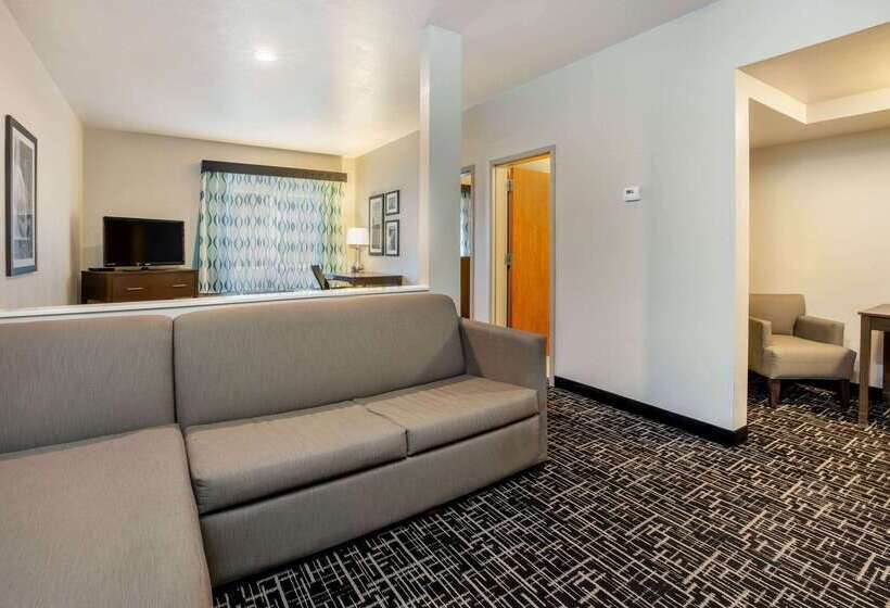 هتل La Quinta By Wyndham Pocatello
