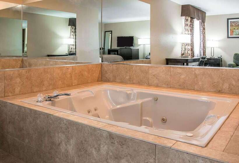 هتل Quality Inn Grand Rapids Southbyron Center