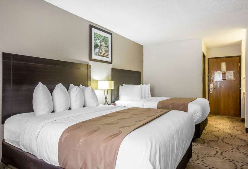 Hotel Quality Inn Stockbridge Atlanta South