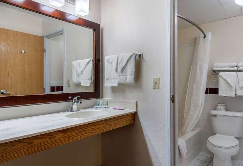 ホテル Quality Inn & Suites