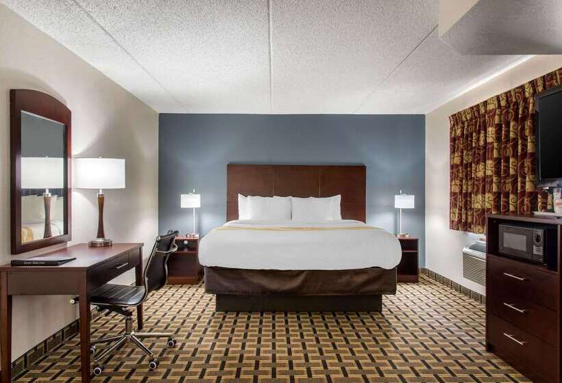 ホテル Quality Inn & Suites