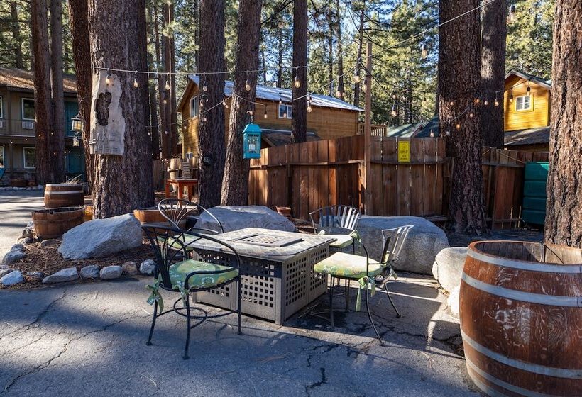 בית מלון כפרי The Alder Inn