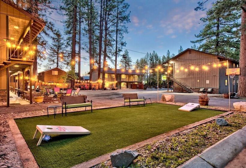 בית מלון כפרי The Alder Inn