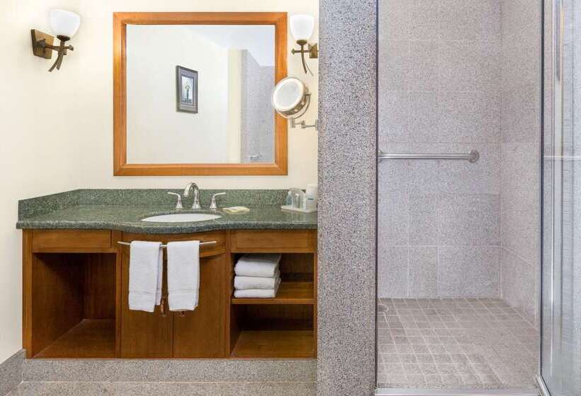 فندق Wyndham Garden Baronne Plaza