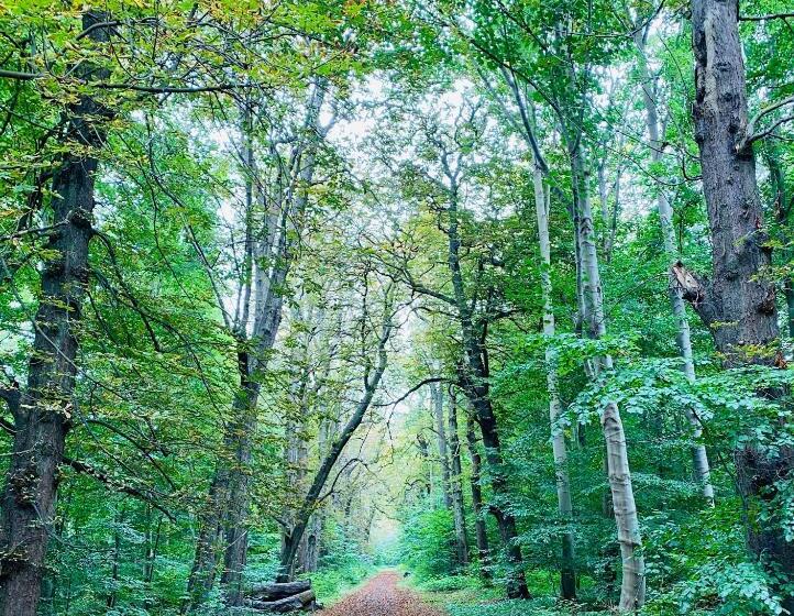 تختخواب و صبحانه Bellinge House