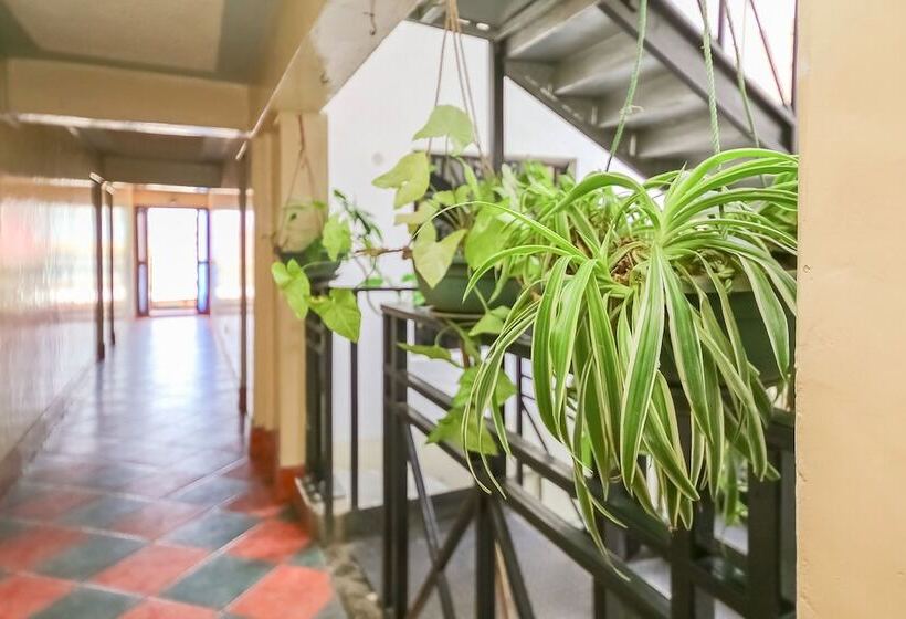 فندق Continental Inn