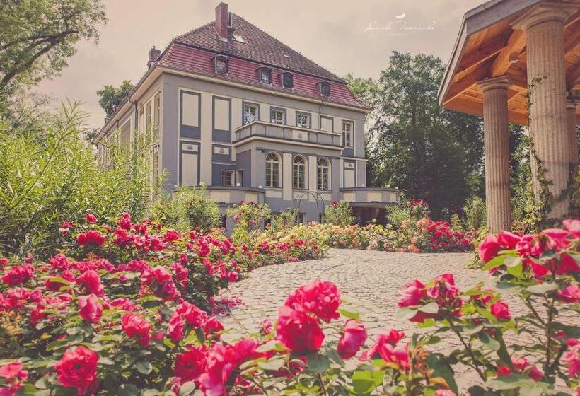 ホテル Willa Starosty