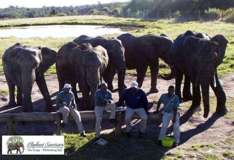 پانسیون Elephant Country Guest House