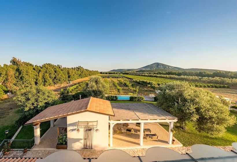 هتل روستایی Agriturismo Casale Degli Ulivi Alghero