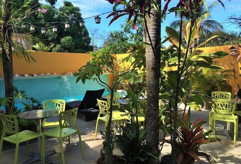 پانسیون Casa De Amistad Guesthouse