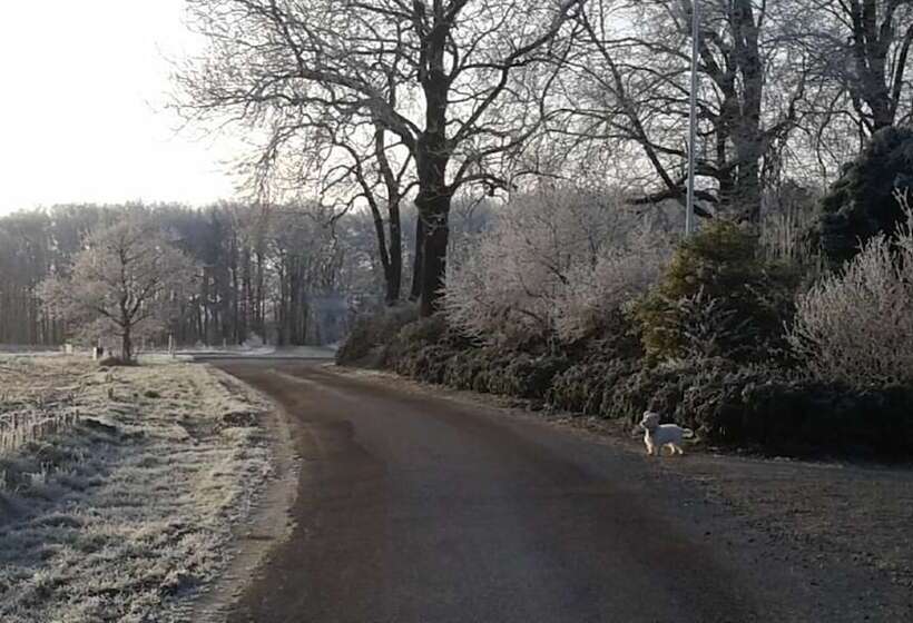 Agervig Bed & Breakfast