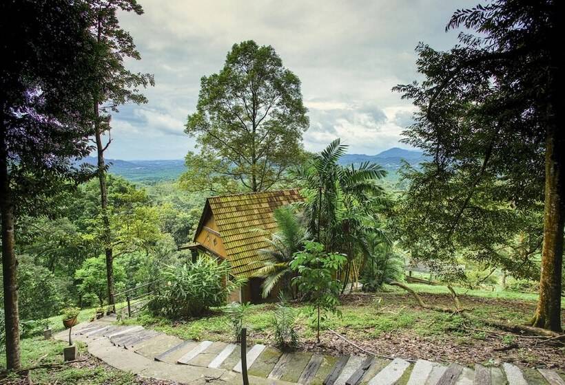 The Dusun