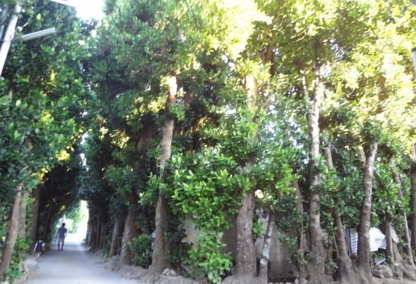 Bise House