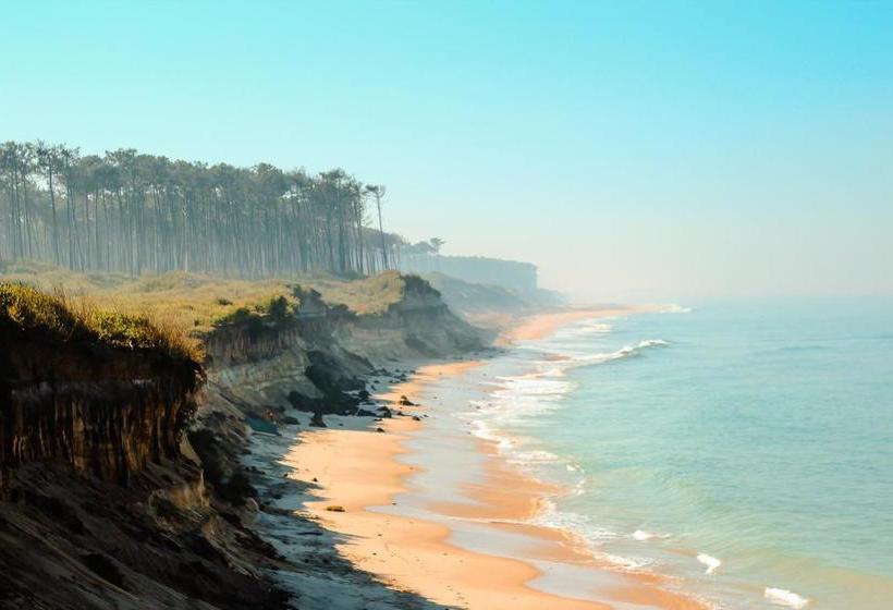 ペンション Surfivor Surf Camp