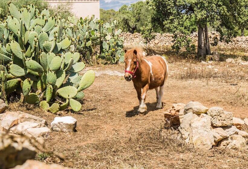 هتل روستایی Finca Agroturismo Sa Cova Den Borino